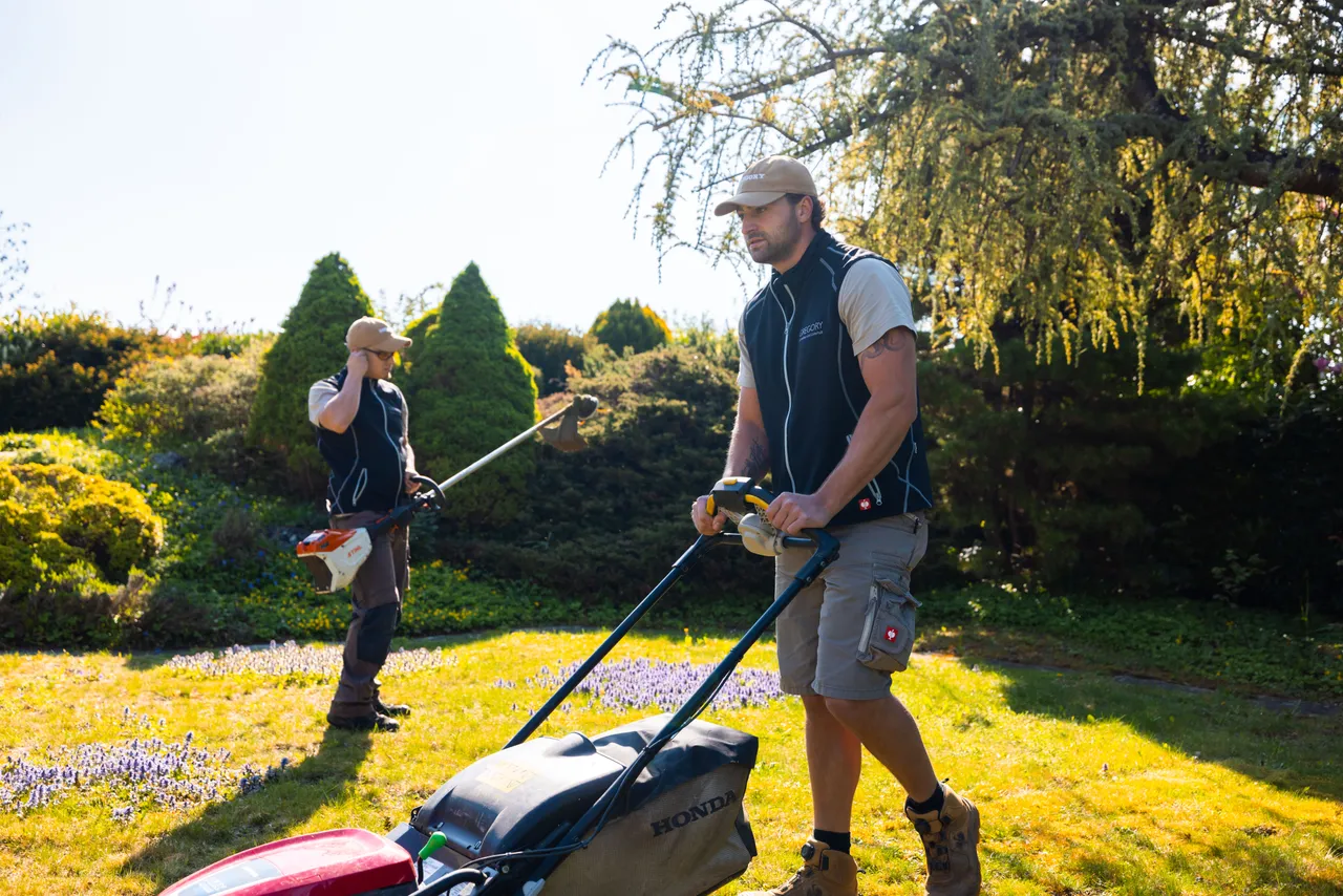 Zwei Gärtner von Gregory mähen einen sonnigen Garten mit Rasenmäher und Motorsense